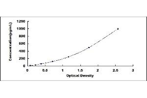 Typical standard curve (Nerve Growth Factor ELISA 试剂盒)