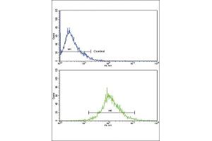 Flow Cytometry (FACS) image for anti-Tyrosinase-Related Protein 1 (TYRP1) antibody (ABIN3003171) (Tyrosinase-Related Protein 1 抗体)