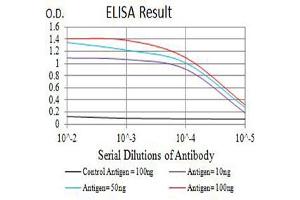 Black line: Control Antigen (100 ng),Purple line: Antigen (10 ng), Blue line: Antigen (50 ng), Red line:Antigen (100 ng) (DDR1 抗体  (AA 21-176))