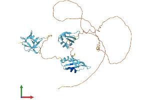 AlphaFold protein structure predicition of Mouse Recombinant Tardbp Protein, UniprotID Q921F2