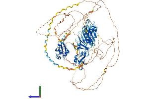 Protein Structure (PS) image for RNA Binding Motif Protein 12 (RBM12) (AA 1-992) protein (His tag) (ABIN7559770)