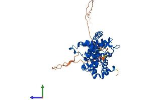 Protein Structure (PS) image for Cyclin B2 (CCNB2) (AA 1-398) protein (His tag) (ABIN7563081)