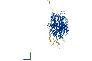 Protein Structure (PS) image for Mitochondrial Ribosomal Protein S30 (MRPS30) (AA 1-439) protein (His tag) (ABIN7551668)