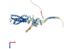 CNGA2 Protein (AA 1-664) (His tag)