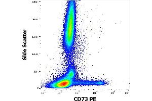 Flow cytometry surface staining pattern of human peripheral whole blood stained using anti-human CD73 (AD2) PE antibody (10 μL reagent / 100 μL of peripheral whole blood). (CD73 抗体  (PE))