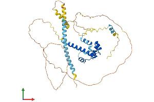 Protein Structure (PS) image for BSD Domain Containing 1 (BSDC1) (AA 1-430) protein (His tag) (ABIN7552709)