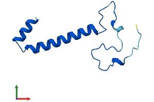 Protein Structure (PS) image for NADH Dehydrogenase (Ubiquinone) 1 alpha Subcomplex, 4 (NDUFA4) (AA 1-82) protein (Fc Tag) (ABIN7557792)