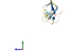 Protein Structure (PS) image for Dynein Regulatory Complex Subunit 1 (DRC1) (AA 1-753) protein (His tag) (ABIN7563752)