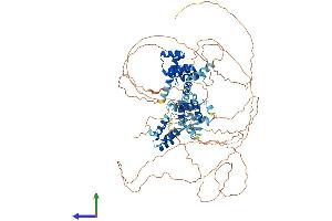 Protein Structure (PS) image for Zinc Fingers and Homeoboxes 2 (ZHX2) (AA 1-837) protein (His tag) (ABIN7556113)