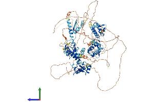 Protein Structure (PS) image for General Transcription Factor II I Repeat Domain-Containing 1 (GTF2IRD1) (AA 1-959) protein (His tag) (ABIN7554073)