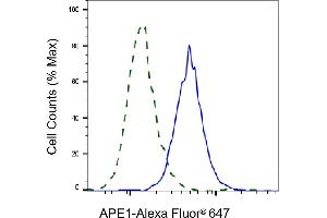 Validation of APE1 knockdown using flow cytometry. (Recombinant APEX1 抗体)