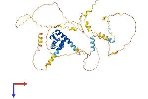 AlphaFold protein structure predicition of Human Recombinant C19orf47 Protein, UniprotID Q8N9M1
