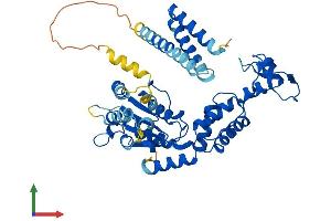 Protein Structure (PS) image for Vacuolar Protein Sorting 4 Homolog B (vps4b) (AA 1-444) protein (His tag) (ABIN7555999)