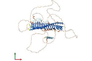 AlphaFold protein structure predicition of Human Recombinant JPH3 Protein, UniprotID Q8WXH2