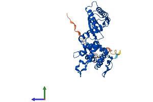 Protein Structure (PS) image for Interleukin Enhancer Binding Factor 2, 45kDa (ILF2) (AA 1-390) protein (His tag) (ABIN7560736)