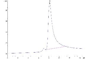Size-exclusion chromatography-High Pressure Liquid Chromatography (SEC-HPLC) image for Fibroblast Activation Protein, alpha (FAP) (AA 26-761) protein (His tag) (ABIN7274586)