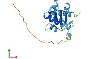 Protein Structure (PS) image for NHP2 Ribonucleoprotein (NHP2) (AA 1-153) protein (His tag) (ABIN7560631)