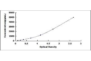 Typical standard curve (Retinoid X Receptor alpha ELISA 试剂盒)