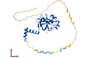 AlphaFold protein structure predicition of Human Recombinant CENPV Protein, UniprotID Q7Z7K6