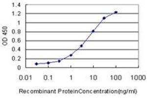 Detection limit for recombinant GST tagged BSCL2 is approximately 0. (BSCL2 抗体  (AA 259-357))