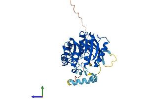 AlphaFold protein structure predicition of Mouse Recombinant Camkmt Protein, UniprotID Q3U2J5 (Calmodulin-Lysine N-Methyltransferase (CAMKMT) (AA 1-323) protein (His tag))