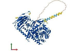 Protein Structure (PS) image for Mannosyl-Oligosaccharide Glucosidase (MOGS) (AA 1-837) protein (His tag) (ABIN7554591)