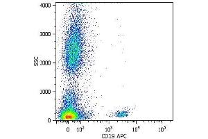 Surface staining of human peripheral blood cells with anti-human CD19 (LT19) APC. (CD19 抗体  (PerCP))