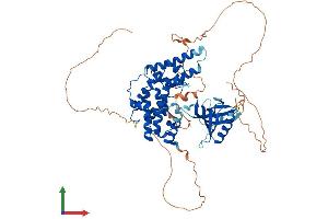 Protein Structure (PS) image for Ral GEF with PH Domain and SH3 Binding Motif 2 (RALGPS2) (AA 1-590) protein (His tag) (ABIN7561430)