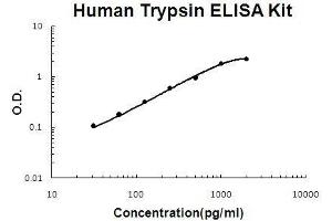 Human Trypsin PicoKine ELISA Kit standard curve