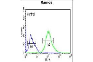Flow cytometric analysis of Ramos cells (right histogram) compared to a negative control cell (left histogram). (FCRL4 抗体  (C-Term))