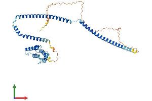 Protein Structure (PS) image for Clusterin Associated Protein 1 (CLUAP1) (AA 1-413) protein (His tag) (ABIN7559744)