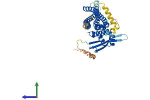 Protein Structure (PS) image for Sorting Nexin 7 (SNX7) (AA 1-387) protein (His tag) (ABIN7560738)