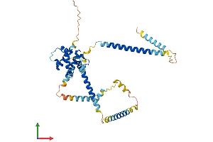 AlphaFold protein structure predicition of Mouse Recombinant Haus7 Protein, UniprotID Q8BKT8
