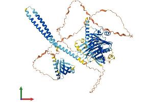 Protein Structure (PS) image for Oxysterol Binding Protein 2 (OSBP2) (AA 1-908) protein (His tag) (ABIN7557507)