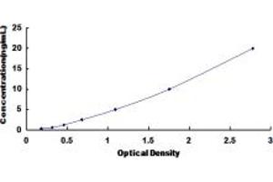 Typical standard curve (MT2 ELISA 试剂盒)