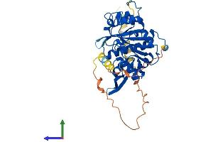 Protein Structure (PS) image for LFNG O-Fucosylpeptide 3-beta-N-Acetylglucosaminyltransferase (LFNG) (AA 1-378) protein (His tag) (ABIN7562238)