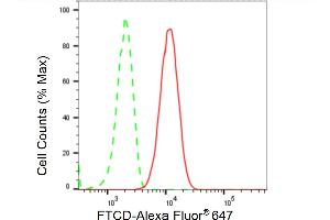 Flow cytometric analysis of FTCD expression in HT- cells using FTCD antibody (ABIN7798654), 1:2,000). (Recombinant FTCD 抗体)
