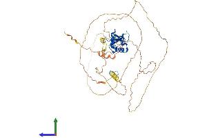Protein Structure (PS) image for Forkhead Box A1 (FOXA1) (AA 1-468) protein (His tag) (ABIN7563179)