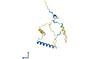 AlphaFold protein structure predicition of Human Recombinant C16orf87 Protein, UniprotID Q6PH81