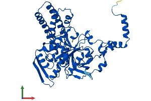 AlphaFold protein structure predicition of Mouse Recombinant Blmh Protein, UniprotID Q8R016
