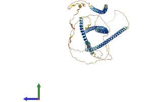 AlphaFold protein structure predicition of Mouse Recombinant Tnip1 Protein, UniprotID Q9WUU8