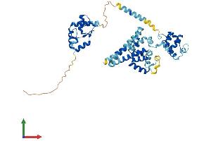 Protein Structure (PS) image for Bifunctional Apoptosis Regulator (BFAR) (AA 1-450) protein (His tag) (ABIN7559619)