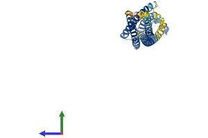 Protein Structure (PS) image for Syntaxin 1A (Brain) (STX1A) (AA 1-288) protein (His tag) (ABIN7546454)