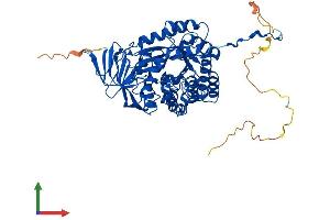 Protein Structure (PS) image for Collapsin Response Mediator Protein 1 (CRMP1) (AA 1-572) protein (His tag) (ABIN7556803)