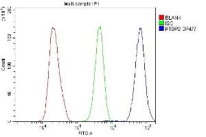 Flow Cytometry analysis of HeLa cells using anti-PTBP2 antibody (ABIN7599452). (PTBP2 抗体  (AA 1-504))