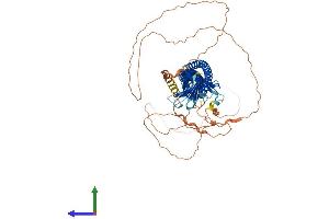 Protein Structure (PS) image for Junctophilin 4 (JPH4) (AA 1-628) protein (His tag) (ABIN7558398)