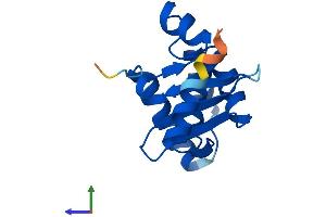 Protein Structure (PS) image for Zinc Finger, SWIM-Type Containing 7 (ZSWIM7) (AA 1-140) protein (His tag) (ABIN7545776)