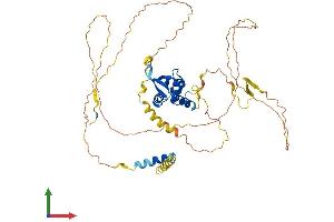Protein Structure (PS) image for Forkhead Box N3 (FOXN3) (AA 1-457) protein (His tag) (ABIN7557372)