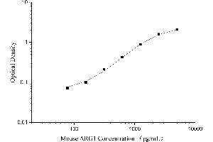 Arginase, Liver (ARG1) ELISA Kit