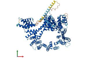 Protein Structure (PS) image for N(alpha)-Acetyltransferase 16, NatA Auxiliary Subunit (NAA16) (AA 1-864) protein (His tag) (ABIN7549622)